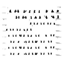 AMERICAN FLYER TRAINS WINDOW SILHOUETTES 952 953 954 GLOSSY S Gauge - $225.06 MXN
