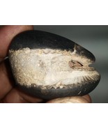 Raro Laxmi Narayan Shaligram/Lakshmi Narayana Salagram - Gandaki River N... - $8,600.70 MXN