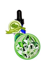 Lily Absolute Essential Oil - 100% PURE Lilium Auratum - 1oz (30ml) - £115.66 GBP