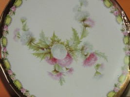 Hand Painted Prussia 9.25&quot; Plate marked M.W Co 19th Century Mitchell Woo... - $496.90 MXN