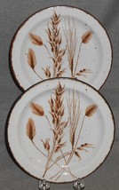 Set (2) Midwinter Wild Oats Pattern 7&quot; Dessert Or B&amp;B Plates Made In England - £15.48 GBP
