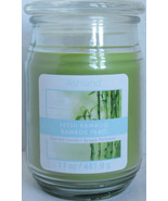Ashland Scented Candle NEW 17 oz Large Jar Single Wick FRESH BAMBOO spring - $29.47