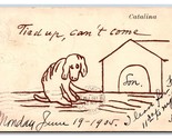 Comic Greetings In Doghouse Santa Catalina Island California CA UDB Post... - $8.87