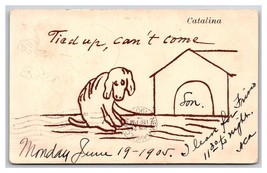 Comic Greetings In Doghouse Santa Catalina Island California CA UDB Postcard S1 - £7.09 GBP
