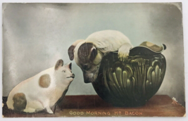 Antique Raphael Tuck 1900&#39;s Puppy Dog with Pig Postcard Good Morning Mr Bacon - £9.69 GBP
