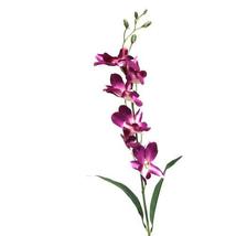 Hawaiian Dendrobium Orchid 3 Starter Plants 2 Inch Pot 3 to 6 InchTall N... - £89.44 GBP
