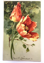 Catherine Klein Postcard - Red Poppy Flowers Poppies Printed in Germany - £9.59 GBP