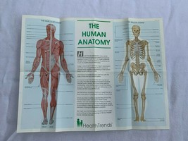 Human Anatomy Body Muscles Skleton Poster Health Trends Vintage 53538 - £12.62 GBP