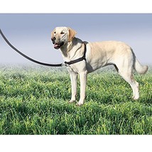 MPP Dog Walk Training Harness Nylon Puppy Trainer 2 Colors to Choose (Small, Bla - £29.60 GBP
