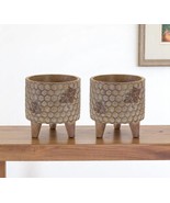Set of Two Brown Polyresin 3 Ounce Bumble Bee Pot Planters - $3,696.35 MXN
