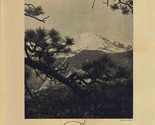 The Swiss Chalet Menu Pikes Peak Avenue Colorado Springs Colorado 1950&#39;s - $101.25