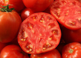 50+ Seeds Porterhouse Tomato Hybridd Vegetable Planting Tomatoe Fresh Garden - $9.32