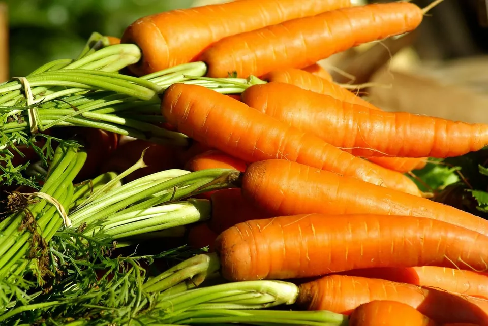 800 Seeds Danvers Carrot Non-Gmo - £7.86 GBP