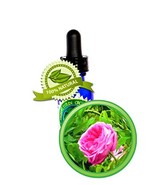 Rose Essential Oil (Bulgarian) - 30ml (1oz) -100% PURE Rosa Damascena, R... - $117.59