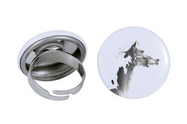 Ring with a horse - American Paint Horse - $12.59
