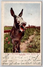 Donkey A Native Son Laughing It Over While Waiting For Tenderfoot Postcard R27 - £6.23 GBP