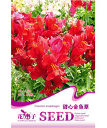 Red Baby Snapdragon Seeds Original Pack 60 Seeds Pack Toadflax Lunaria F... - £5.41 GBP