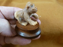 (tb-mon-2) tan Gorilla Tagua NUT palm figurine Bali detailed carving ape... - $43.47