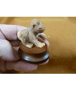 (tb-mon-2) tan Gorilla Tagua NUT palm figurine Bali detailed carving ape... - $813.76 MXN