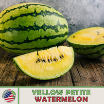 Grow In US 10 Yellow Petite Watermelon Seeds Heirloom Non-Gmo - £7.47 GBP