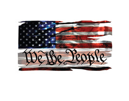 We The People with US Flag Vinyl Decal for Cars Trucks High Quality - FR... - $5.89