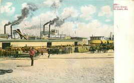 C-1910 Levee Scene St Louis Missouri # 4091 Postcard 20-6003 - $5.03