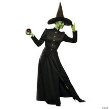 CLASSIC WITCH ADULT LARGE - $58.45