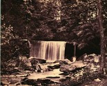 Falls Water Fall Cascade Park New Castle Pennsylvania PA 1909 DB Postcard - $4.42