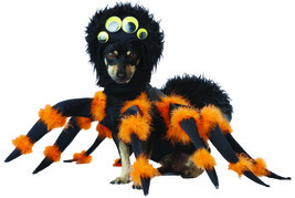 California Costume Collections Spider Pup Dog Costumes, Pet, Black/Orange, Mediu - £90.80 GBP