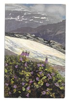 Alpen Flora Soldanella Otto Haus Handstamp Austria Nenke Ostermaier Postcard - £4.32 GBP