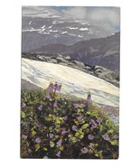 Alpen Flora Soldanella Otto Haus Handstamp Austria Nenke Ostermaier Post... - $5.49