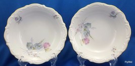 Winterling Bavarian Berry Dessert Bowl  5.5in Set of 2 Pink Blue Yellow ... - £11.33 GBP