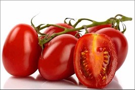 Tomato, Italian Roma, Heirloom, 25 Seeds, Delicious RED Tasty Fruit, - £2.42 GBP