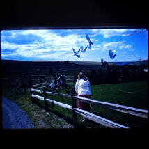 Family Bulding Fence Together at Ranch 80&#39;s Found 35mm Slide Photo Origi... - $8.49