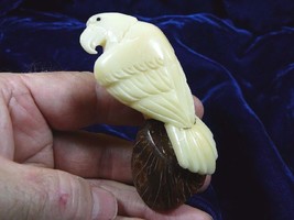 (TNE-BIR-EA-044-A) American Bald Eagle bird eagles TAGUA NUT figurine carving - £20.37 GBP