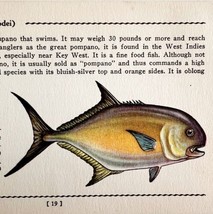Permit 1939 Salt Water Fish Gordon Ertz Color Plate Print Antique PCBG19 - £23.97 GBP