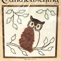 Vintage 80s Owl Candlewicking Embroidery Pillow Kit 12 x 12 - £11.61 GBP