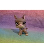 Hasbro Littlest Pet Shop Gray Boston Terrier Puppy Dog Purple Star Eyes ... - $4.34