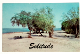 Fort Clinch State Park Fernandina Beach Solitude Florida FL Dexter Postcard 1960 - £3.92 GBP