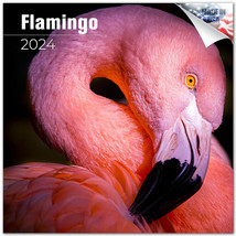 Flamingo Wall Calendar 2024 Pink Animal Bird Lover Gift - £19.34 GBP