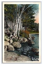 Algonquin Shore Saranac Lake New York UNP WB Postcard M19 - £3.07 GBP