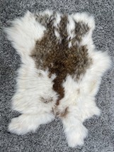 White Rabbit Animal Skin Pelt Hide Fur Natural Brown Fawn Craft Decor - $33.17