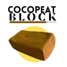 Coco Peat 3 X 9L Coir Brick Block 100% Organic Coconut for 650gram Growi... - £50.76 GBP