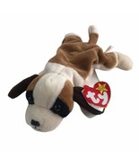 Beanie Baby Babies 1996 Bernie Dog Errors On Swing Tag And Tush Tag PE P... - £29.68 GBP