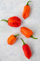 ENIL 25 Seeds Aji Dulce Peppers LARGE Vegetable Edible food hot - £3.32 GBP