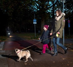Neon Reflect Retractable Belt Dog Leash, Belt, Cord, Safety, Collar, Harness,Pet - £24.12 GBP