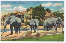 Illinois Postcard Brookfield Elephants Chicago Zoological Park  - $2.96