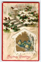 Christmas Postcard Blue Birds Songbirds Snow Icicles Holly Berries 1909 Germany - £12.33 GBP