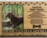 AMERICAN WATER SPANIEL Dog Profile Laser Engraved Wood Picture Frame Magnet - $9.90