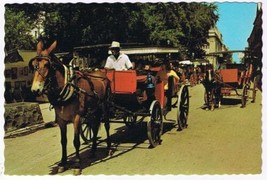 Louisiana Postcard New Orleans French Quarter Sightseeing Carriages - £1.70 GBP
